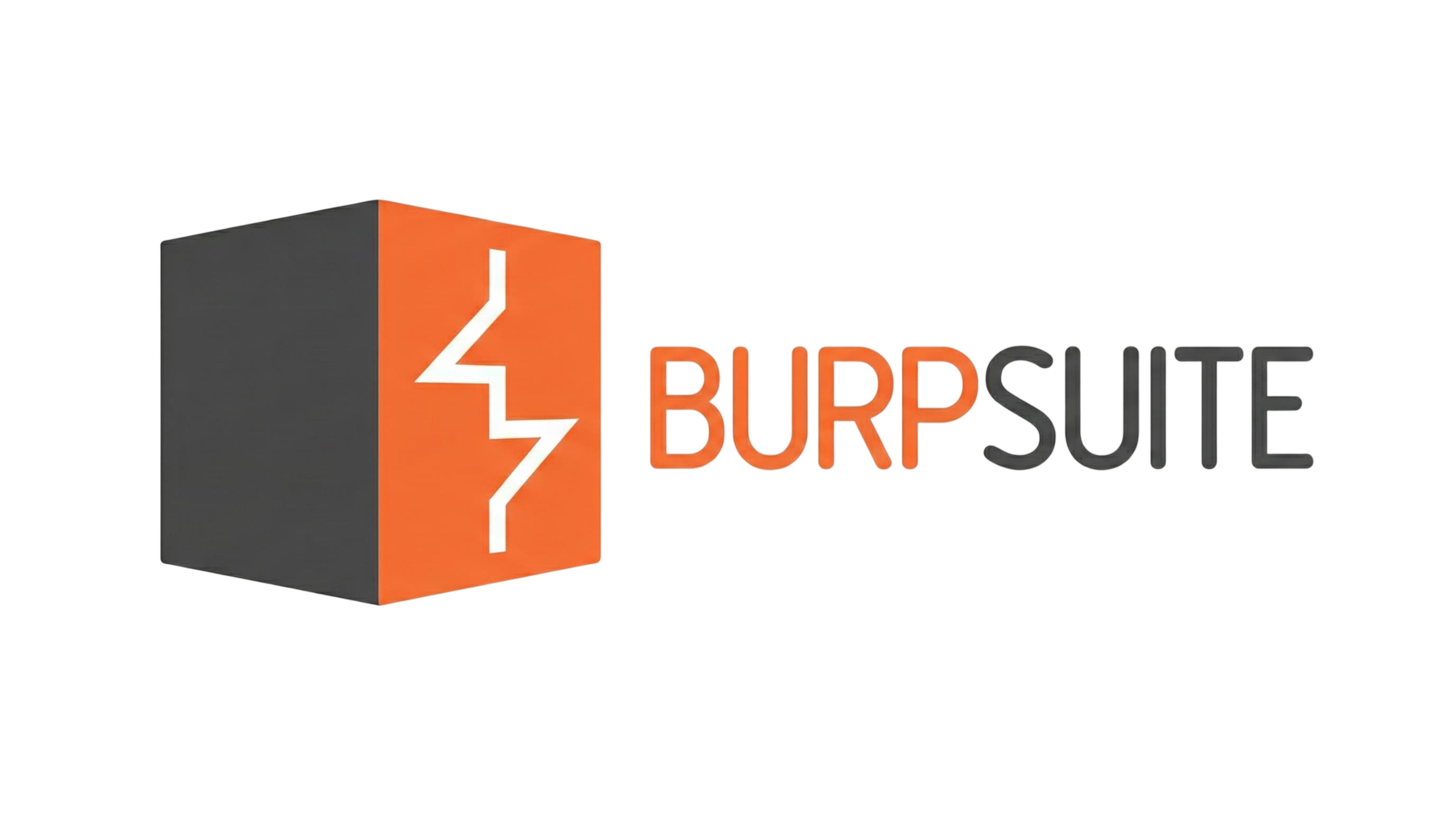 Burp Suite